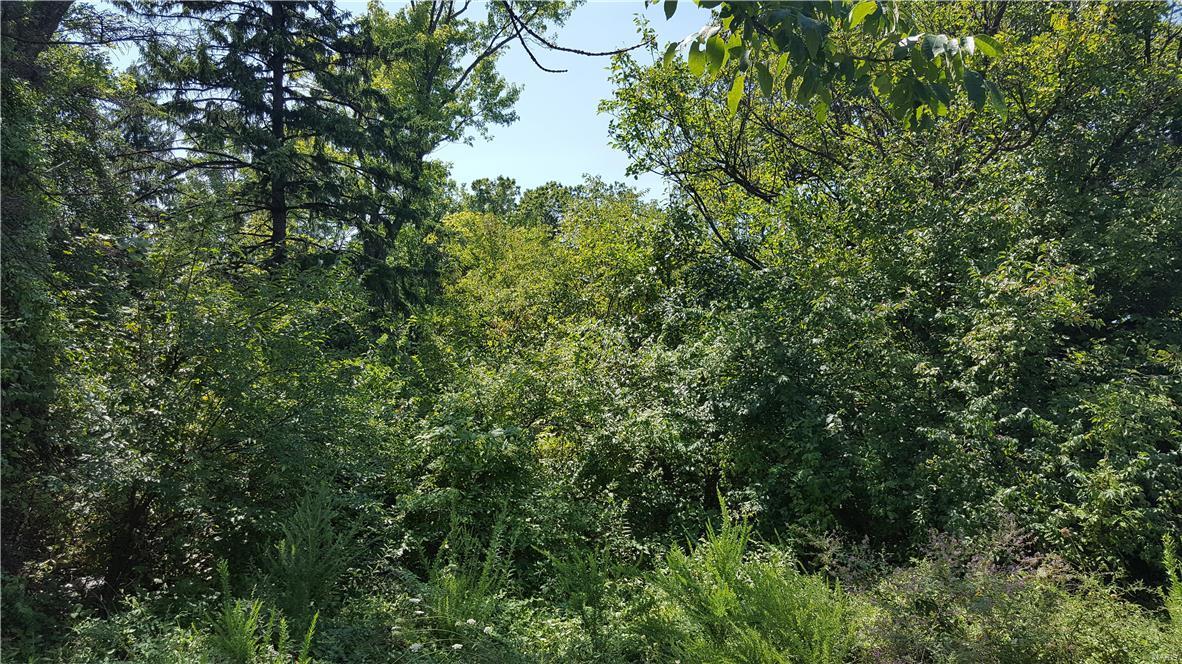 6810 Highway 67 - Photo 1