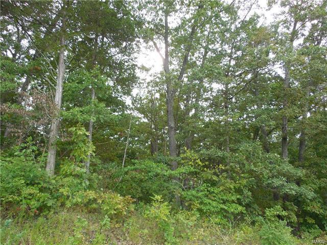 2413 Lone Trail Drive - Photo 1