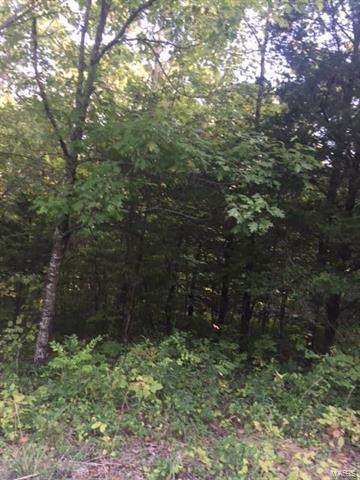 0 Wildwood Lane Lane - Photo 1