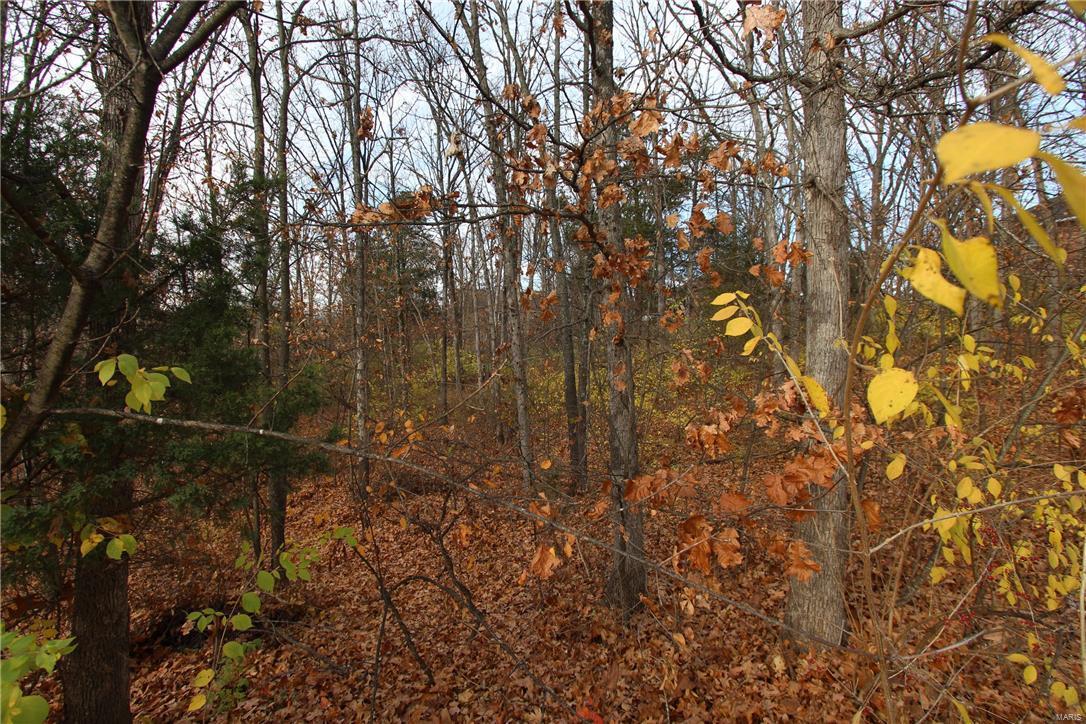 407 Trinity Ridge - Photo 1