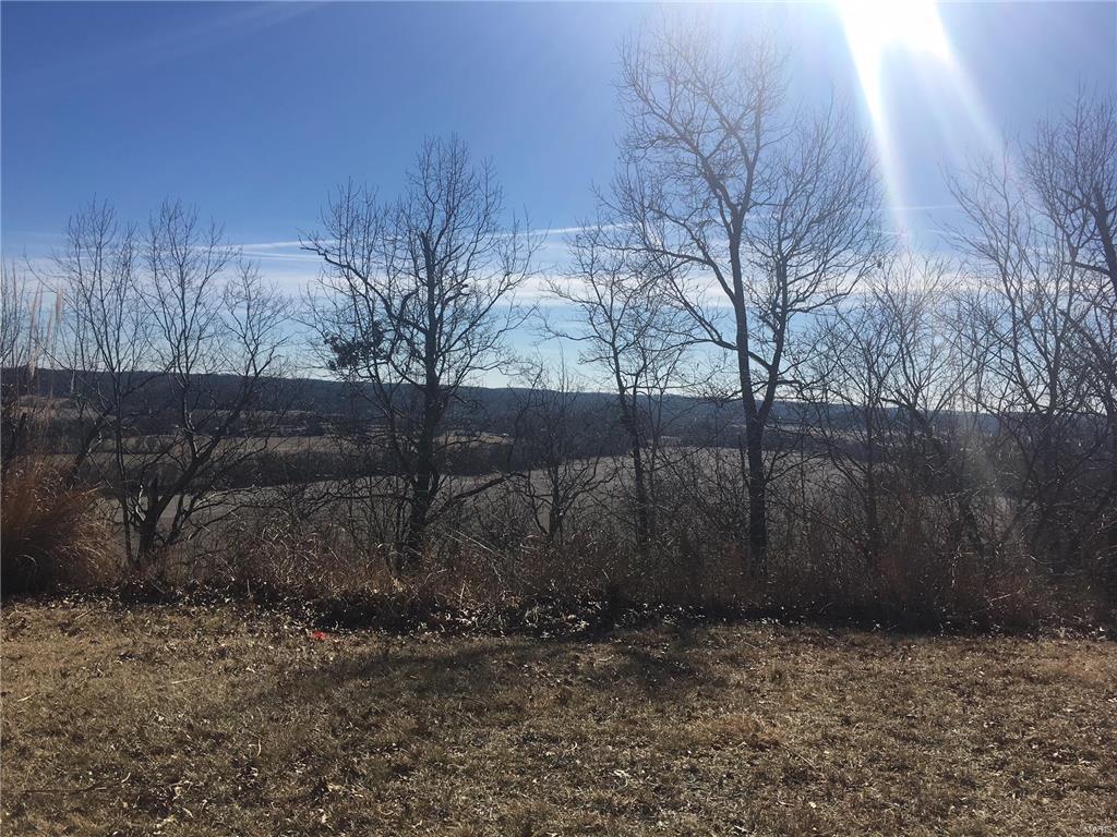 640 Meramec View Drive - Photo 1