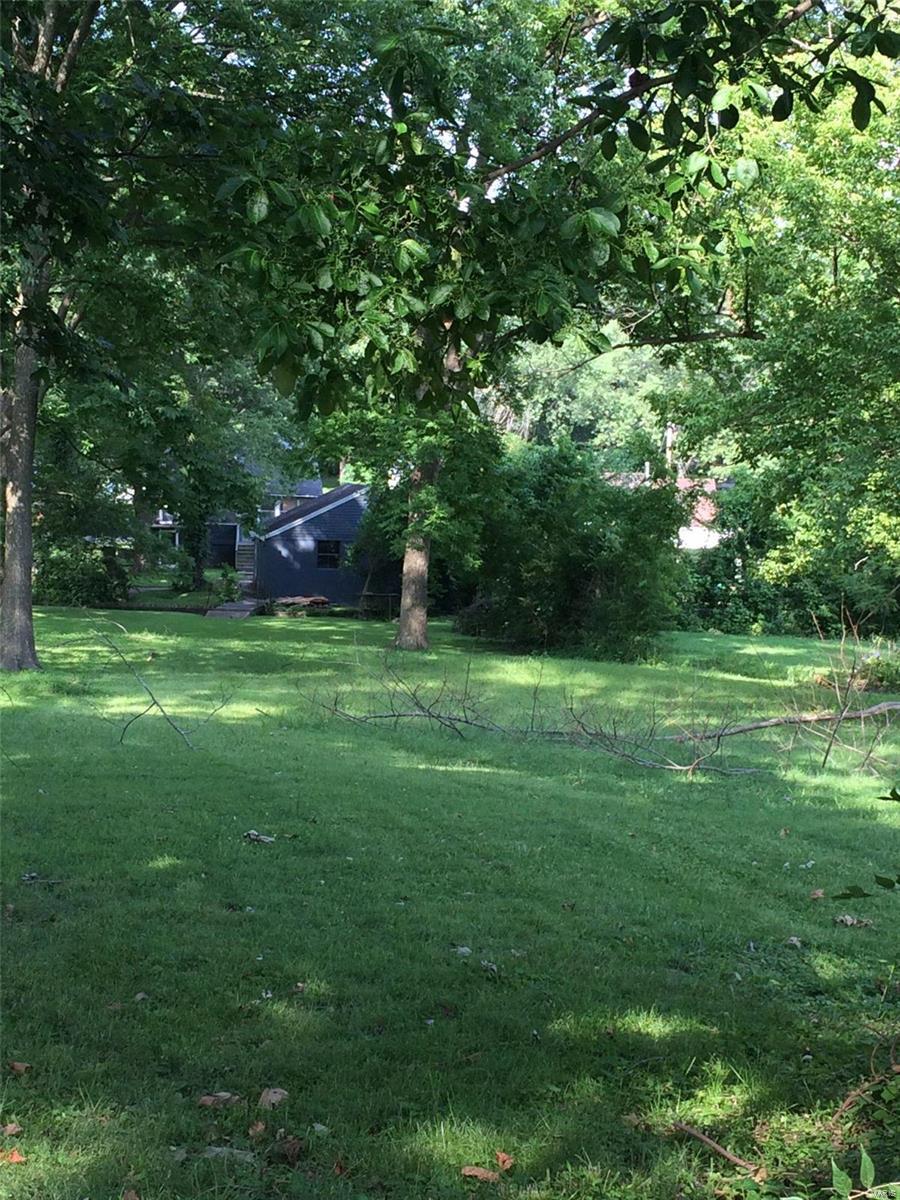 0 Lot 2 Cedar Lane - Photo 1