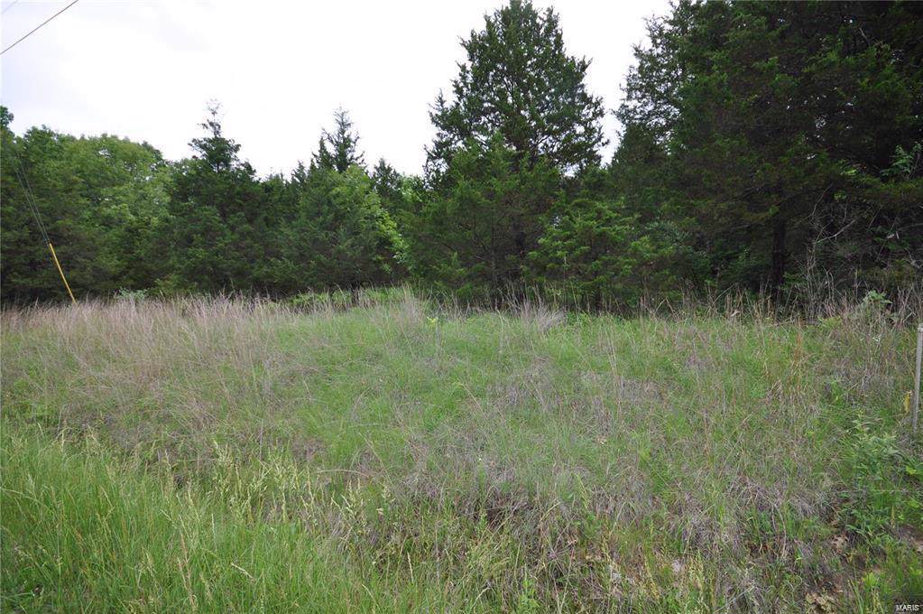2300 Squire Road - Photo 1