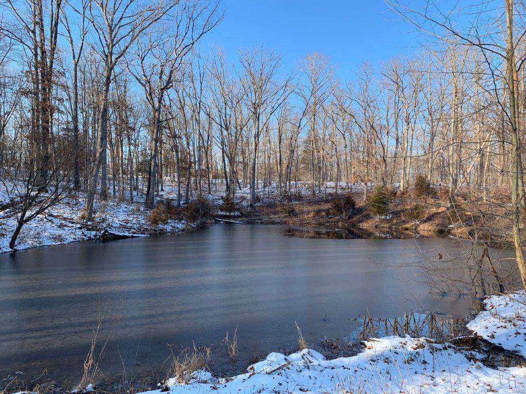 0 Tall Oaks Rd, 11.02 Ac - Photo 1