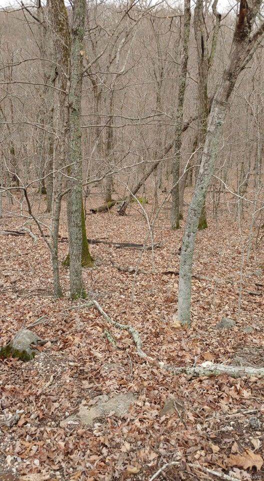 1223 Robin Hood - Photo 1