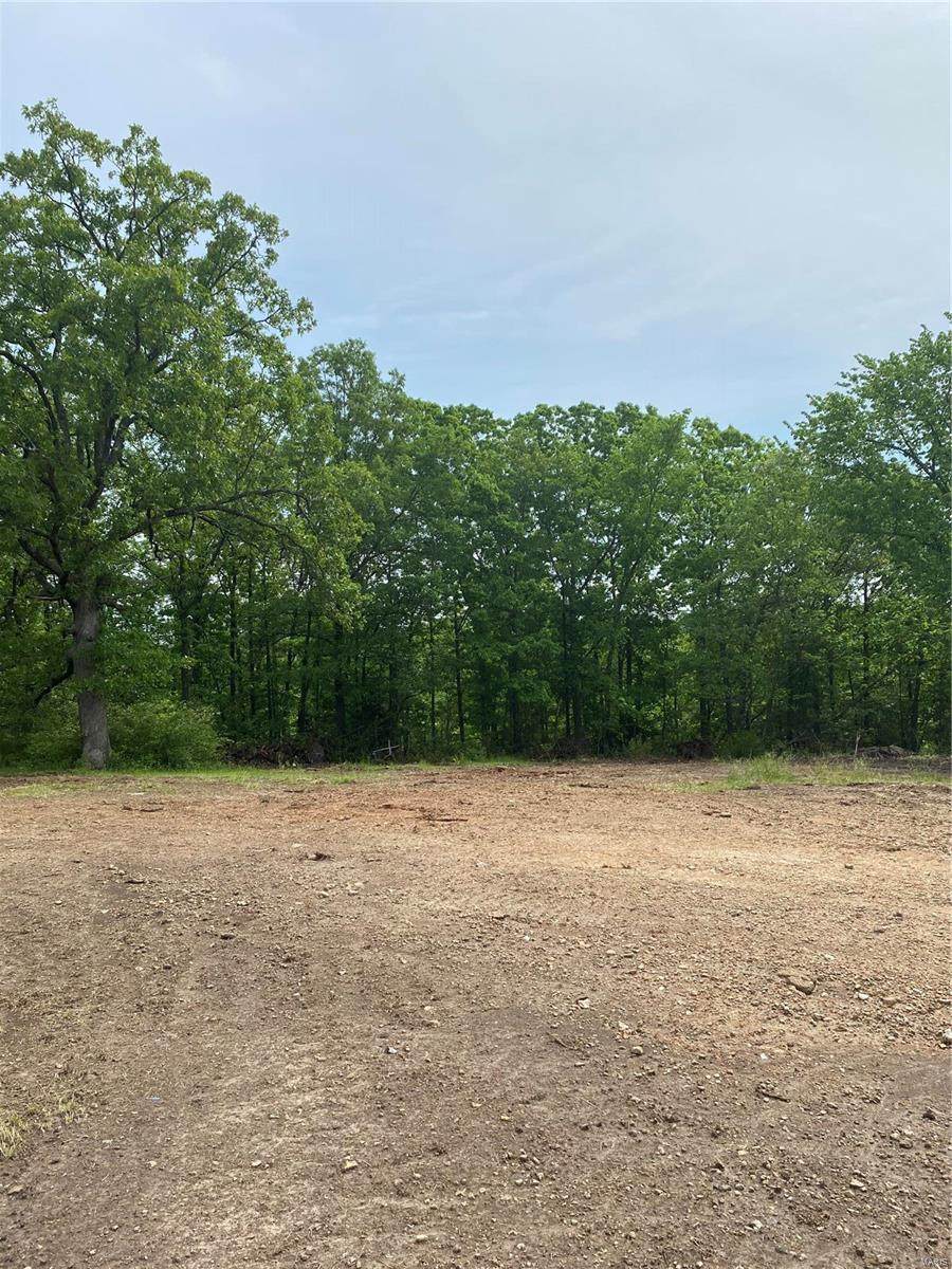 788 Sappington Bridge - Photo 1