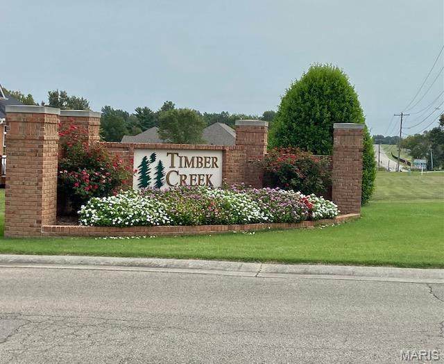 0 Timber Creek Rd. - Photo 1