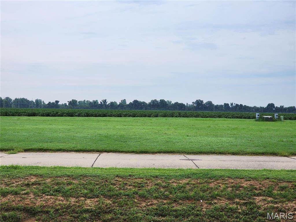 807 Bollweevil Blvd - Photo 1