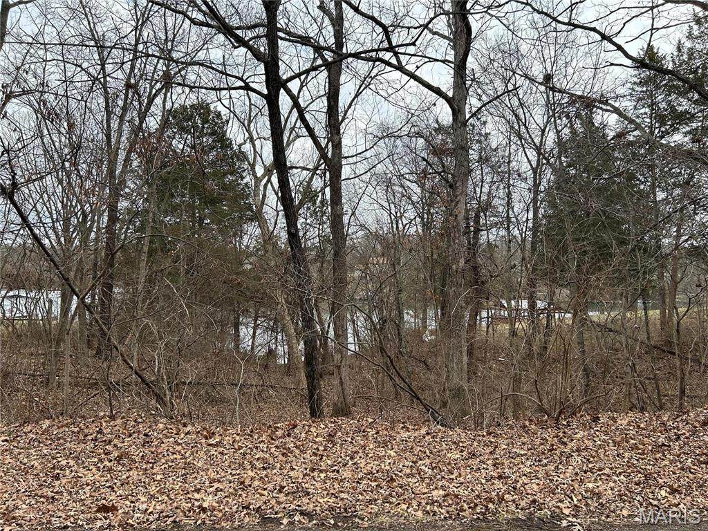 0 Section 5 Lots 10 & 11 - Photo 1