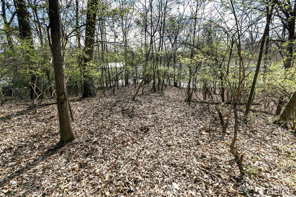 740 Forest Avenue - Photo 1