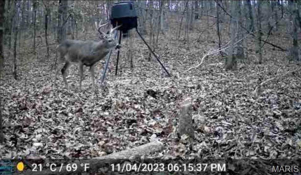 0 Hwy 60 - Photo 1