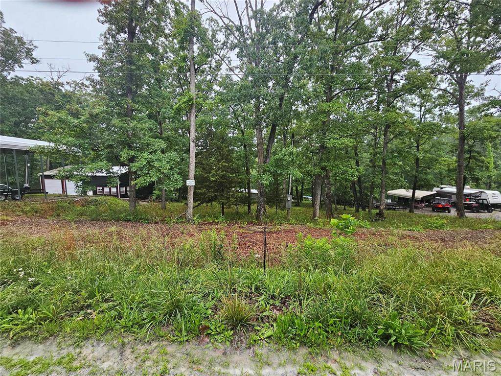 6412 Midmeadow Lane - Photo 1