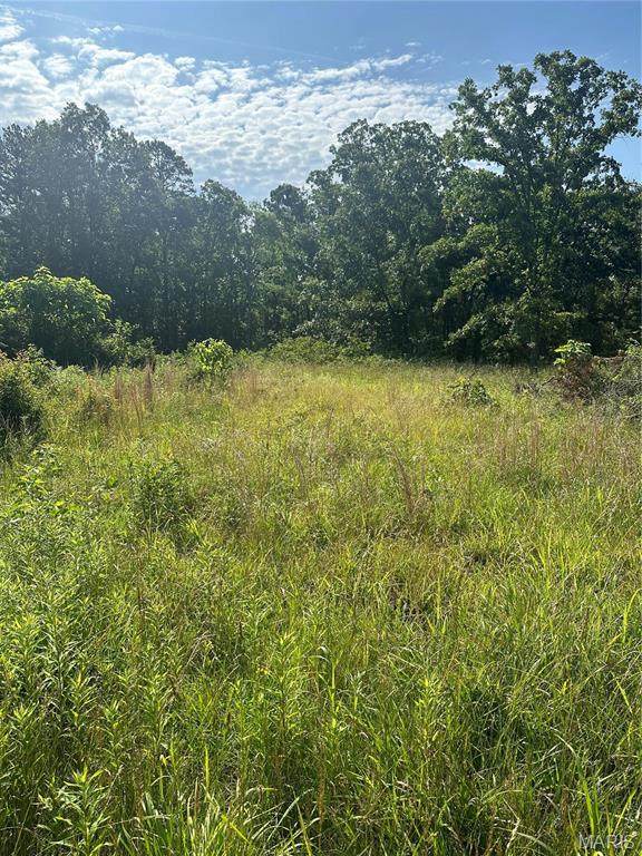 21 Hwy 21 N - Photo 1