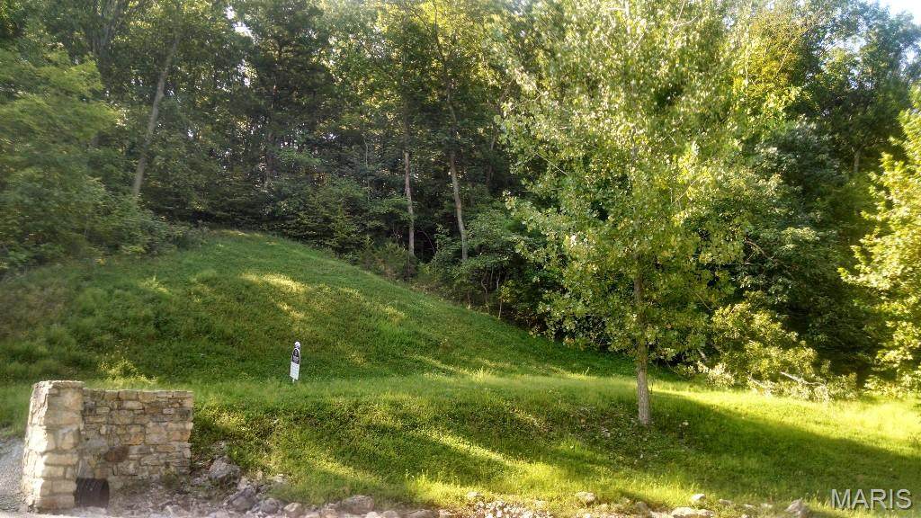 329 Berg Crossing Drive - Photo 1