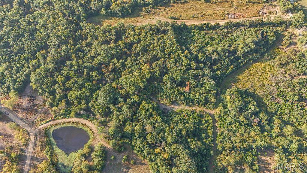 9 Hopkins Road - Photo 1