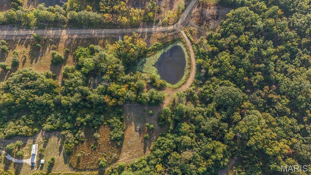 11 Sweet Tea Lane - Photo 1