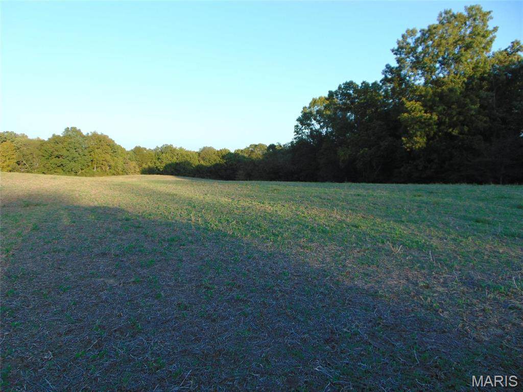 3048 Marlboro Road - Photo 1