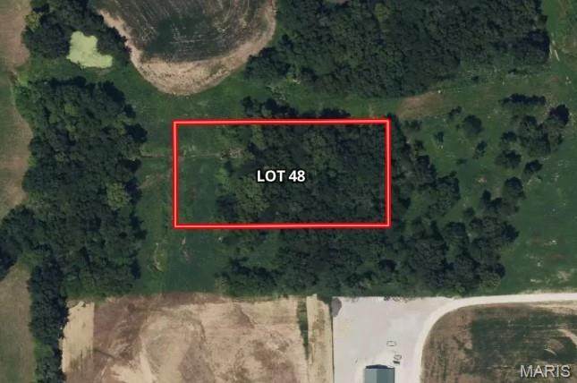 0 232 Clodagh Ln. (Lot 48) - Photo 1