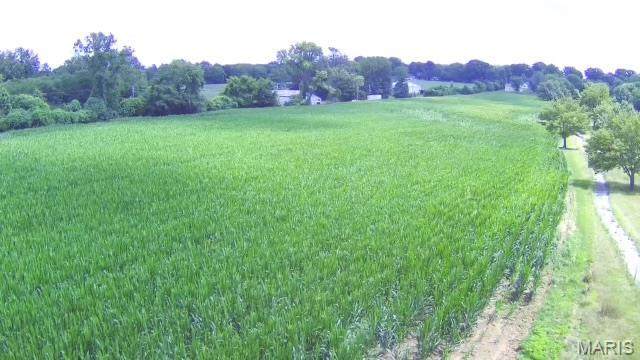 0 Belleville Street - Photo 1