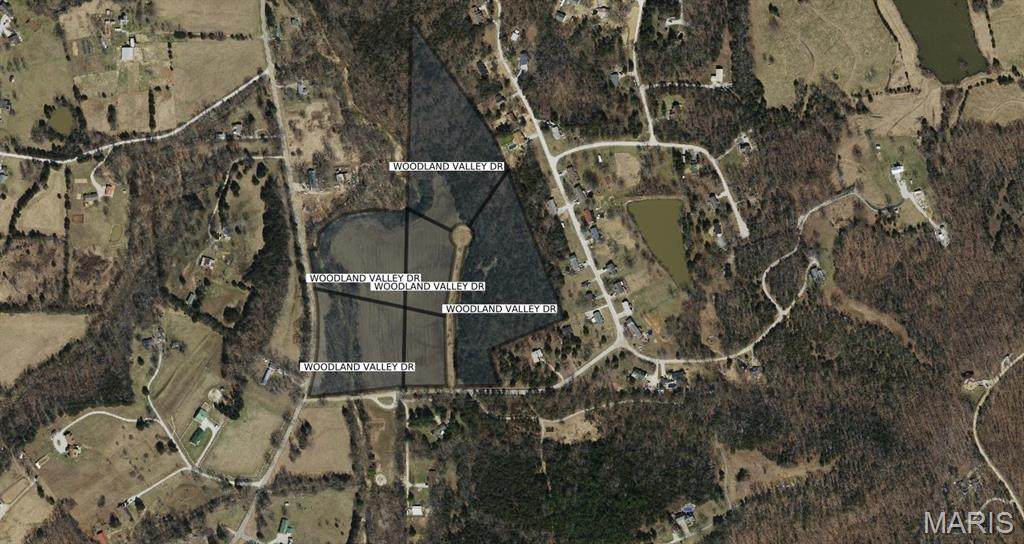 0 Woodland Valley Drive - Photo 1