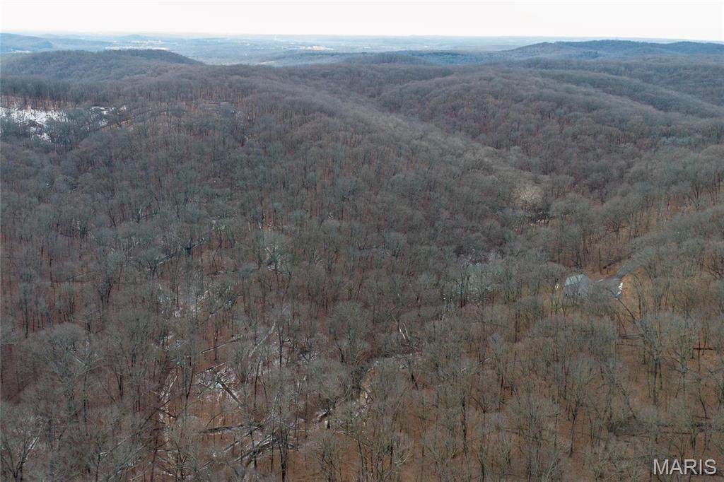 636 Hoene Ridge Estates Drive - Photo 1