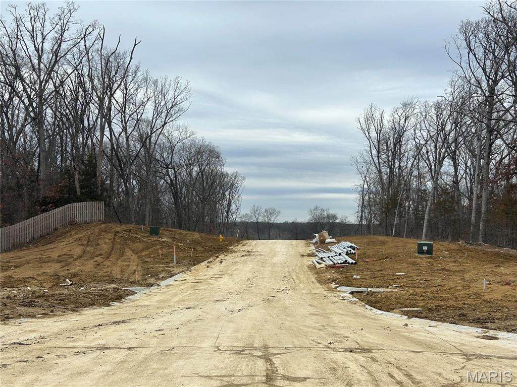 1 Hawthorn Valley Drive - Photo 1