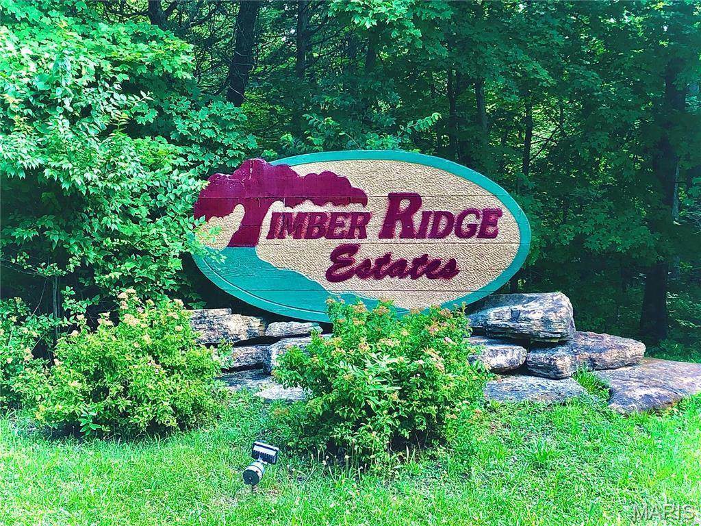 1633 Timber Bluff Trail - Photo 1