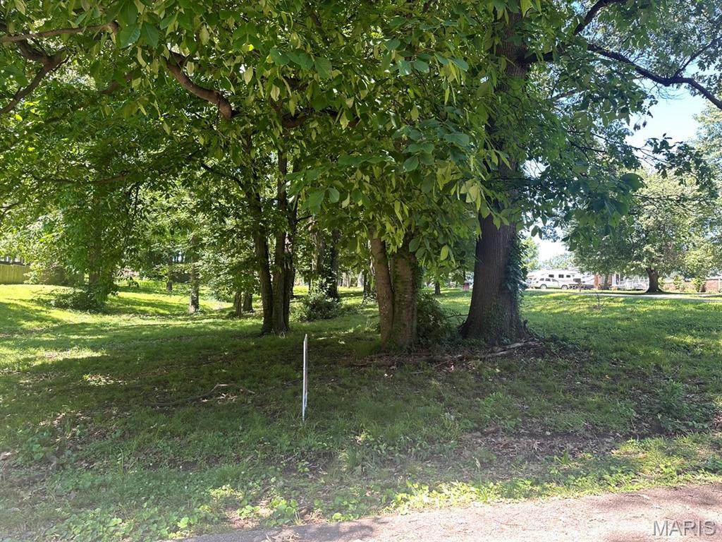 0 Lewis & Albert Street - Photo 1