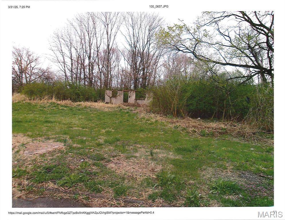 805 Piggott - Photo 1