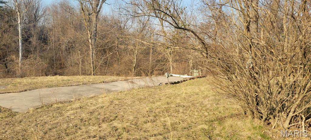 3943 Torch Club Road - Photo 1