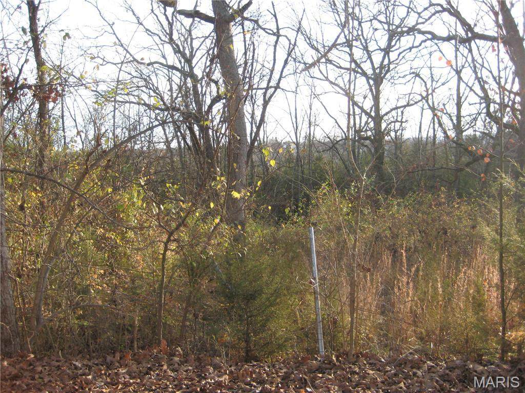 4 Easton Street - Photo 1