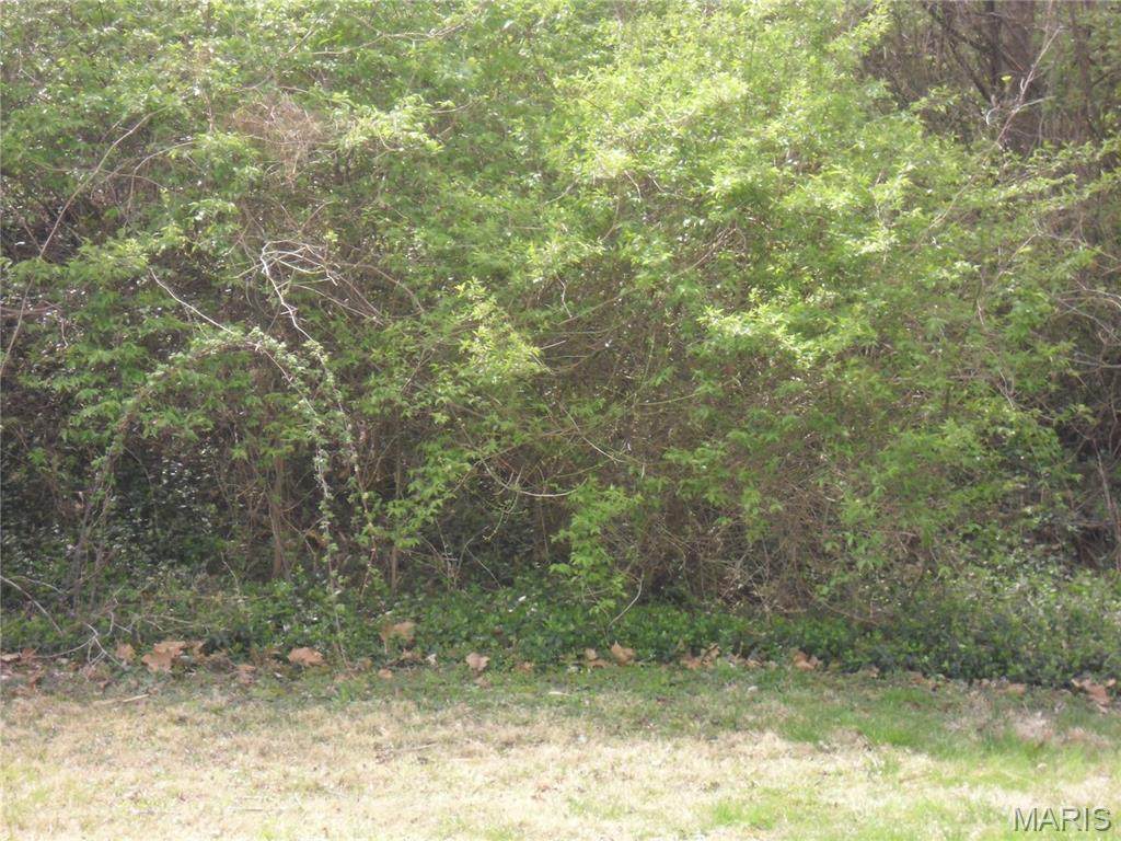 100 98th Street - Photo 1