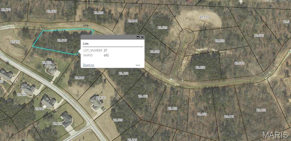 163 Scarlet Oak Loop (Lot 37) - Photo 1