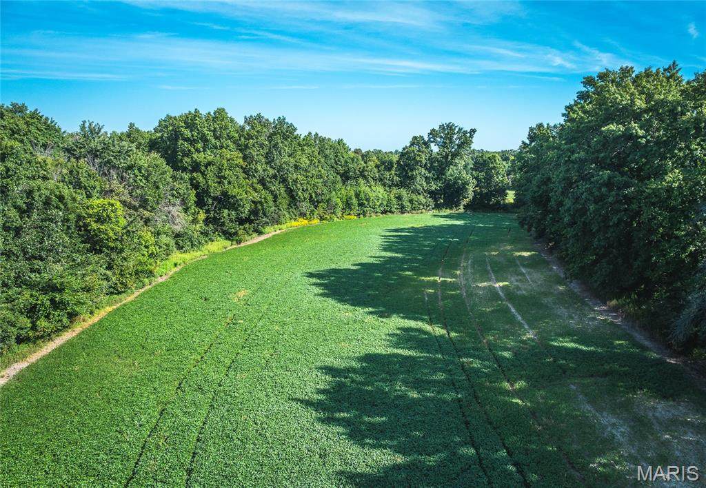 1457 Cr1225 - Photo 1