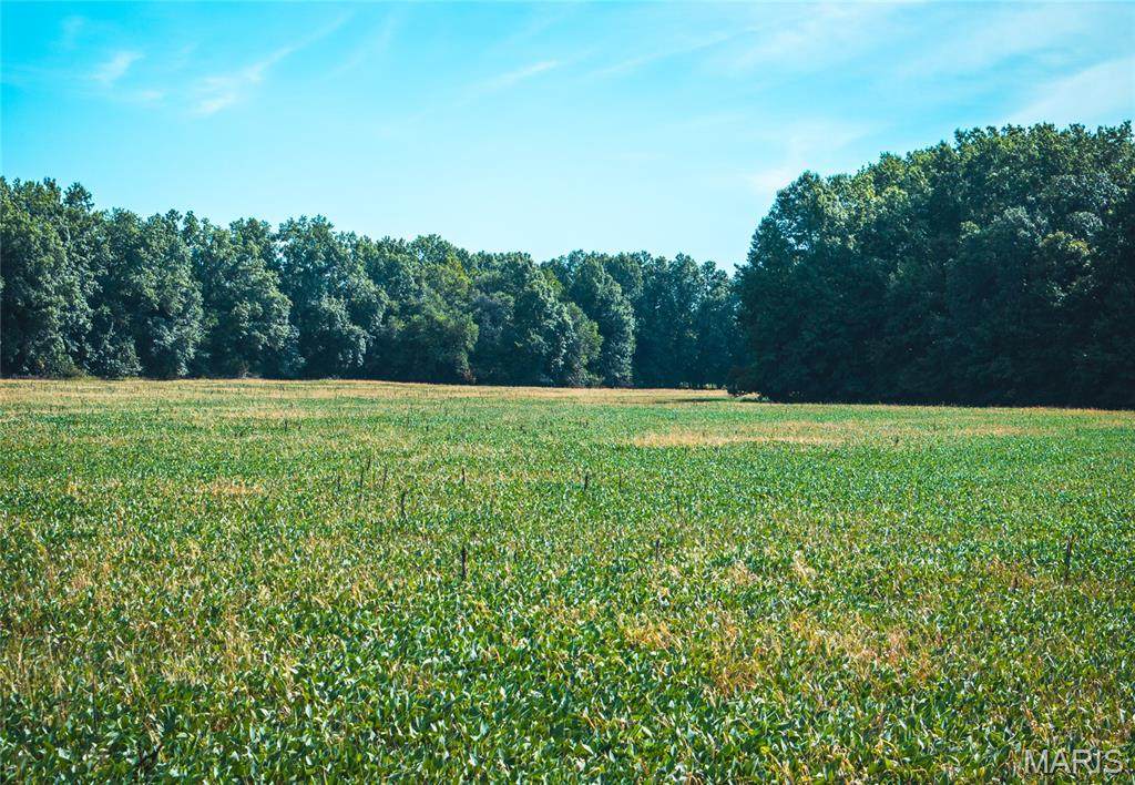 TBD Cr A92 - Photo 1