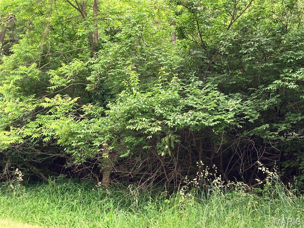 https://bt-photos.global.ssl.fastly.net/midamerica/orig_boomver_2_25035509-1.jpg