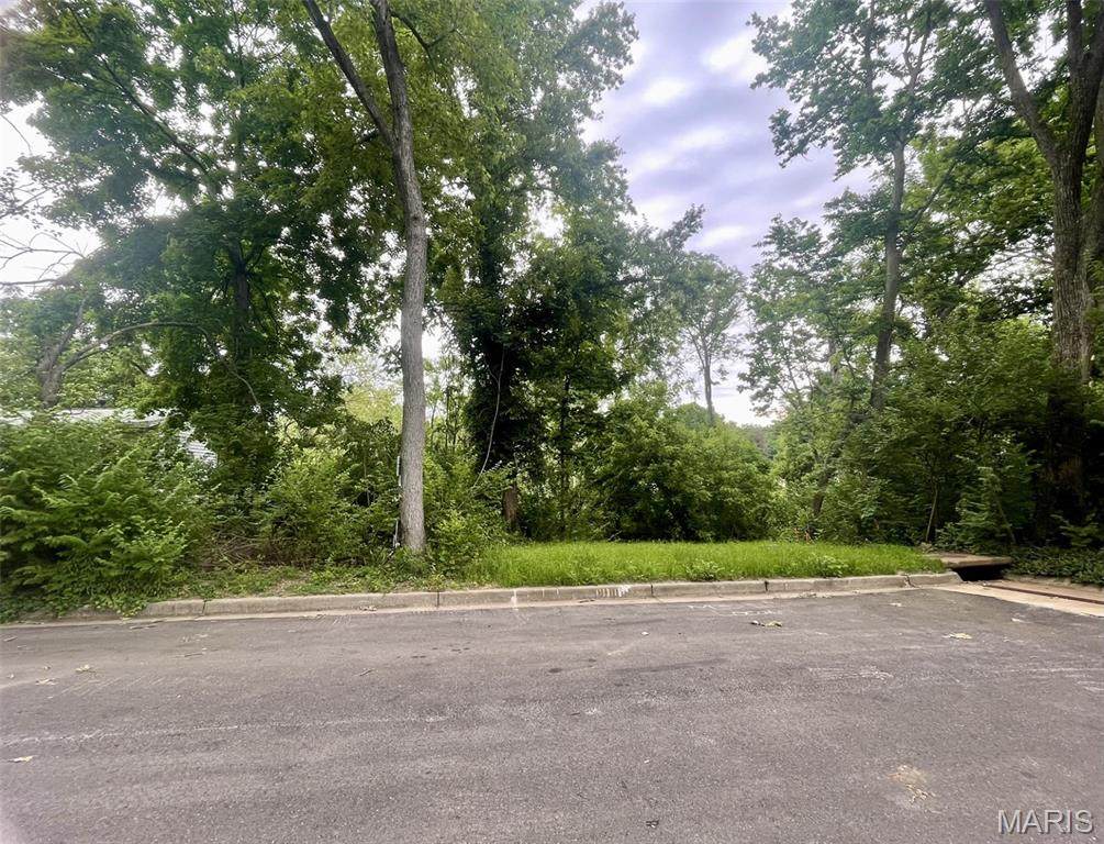 1048 Diversey Drive - Photo 1