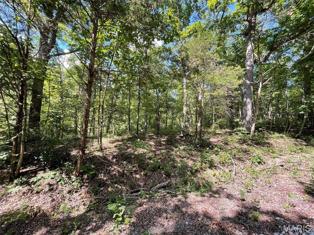 3956 & 3960 Red Bud Drive - Photo 1