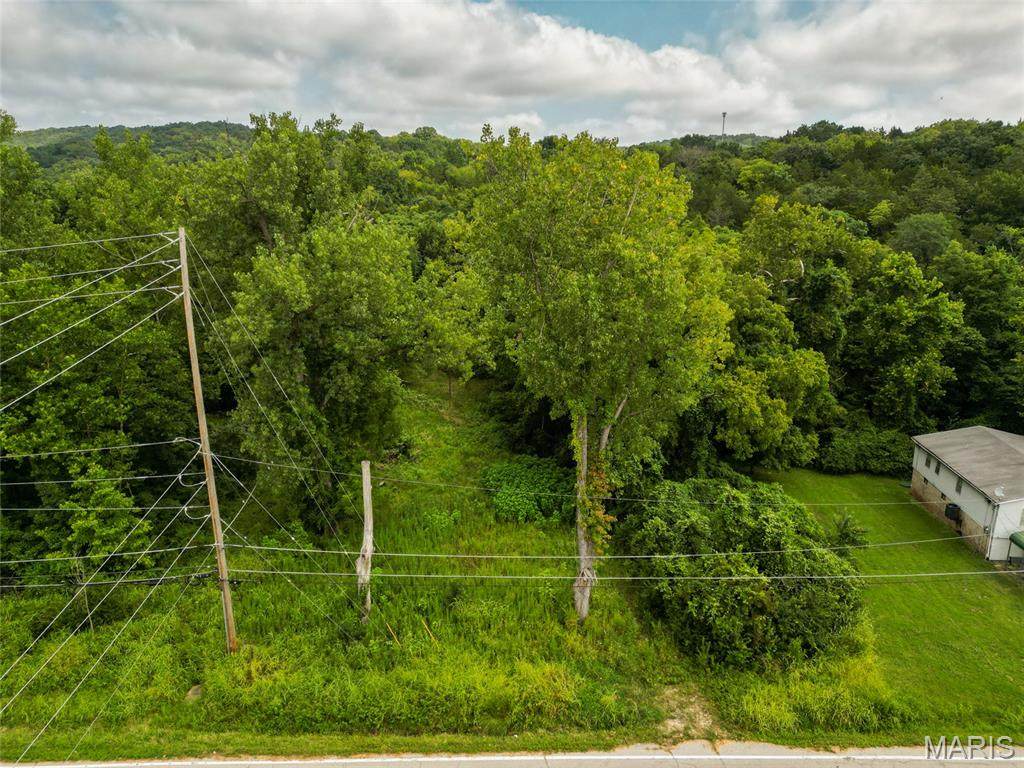 1675 Old State Road M - Photo 1