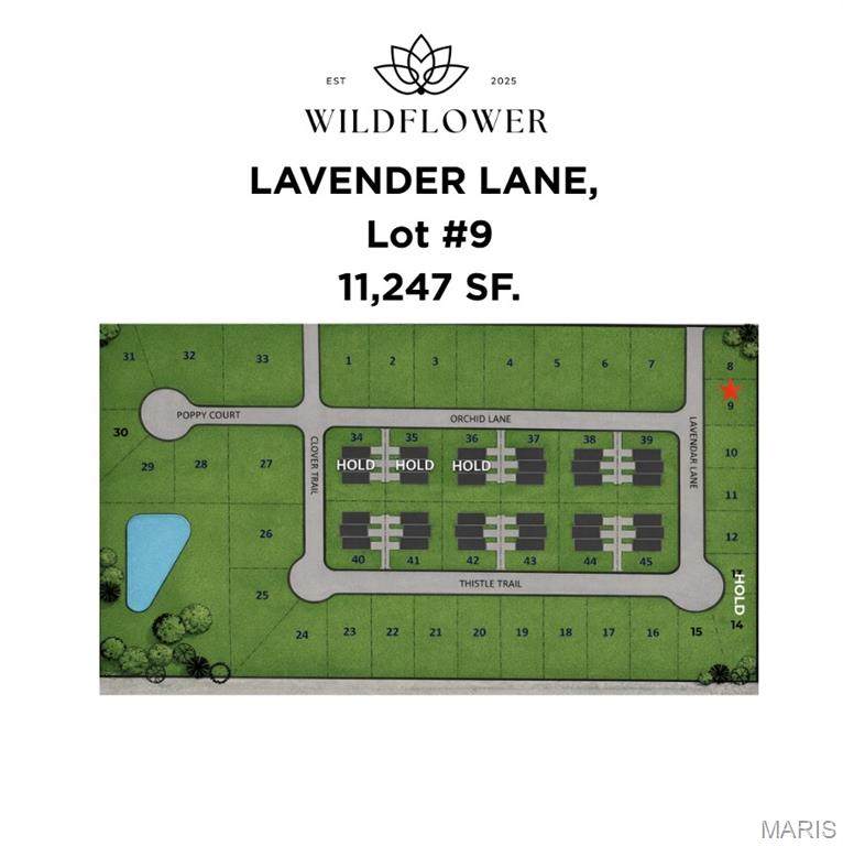 1204 Lavender Lane - Photo 1