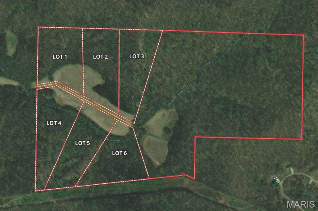 10+/-AC Lot1 Circle Acres Drive - Photo 1