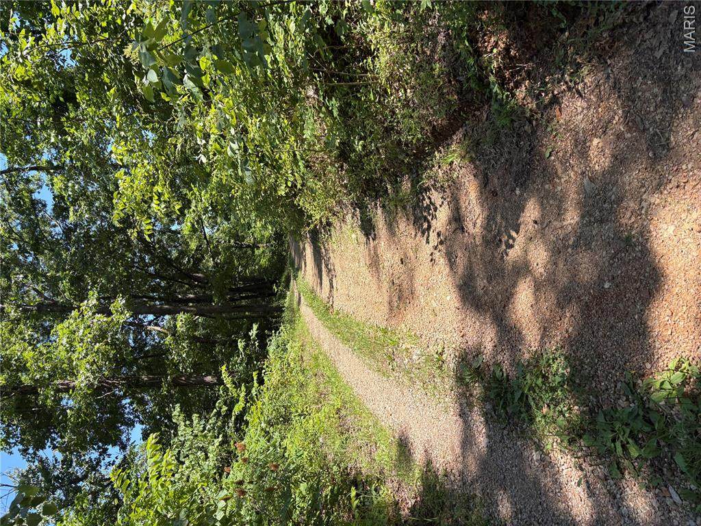 511 A Wayne - Photo 1