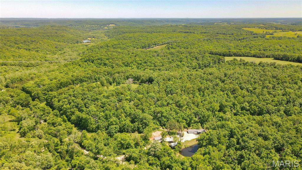 12980 Canyon Road - Photo 1