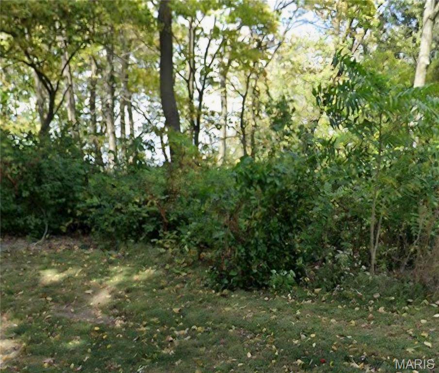 XXX Briar Hill Road - Photo 1