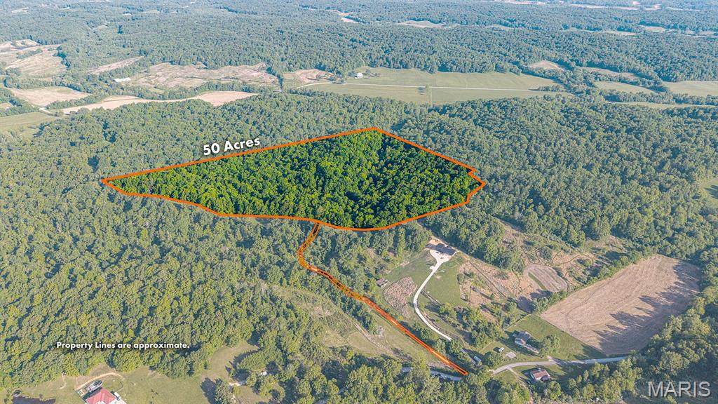 000 County Road 606 - Photo 1