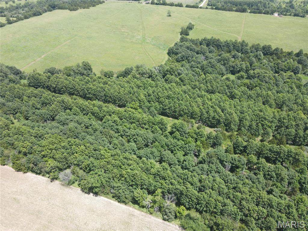 31 Route N - Photo 1