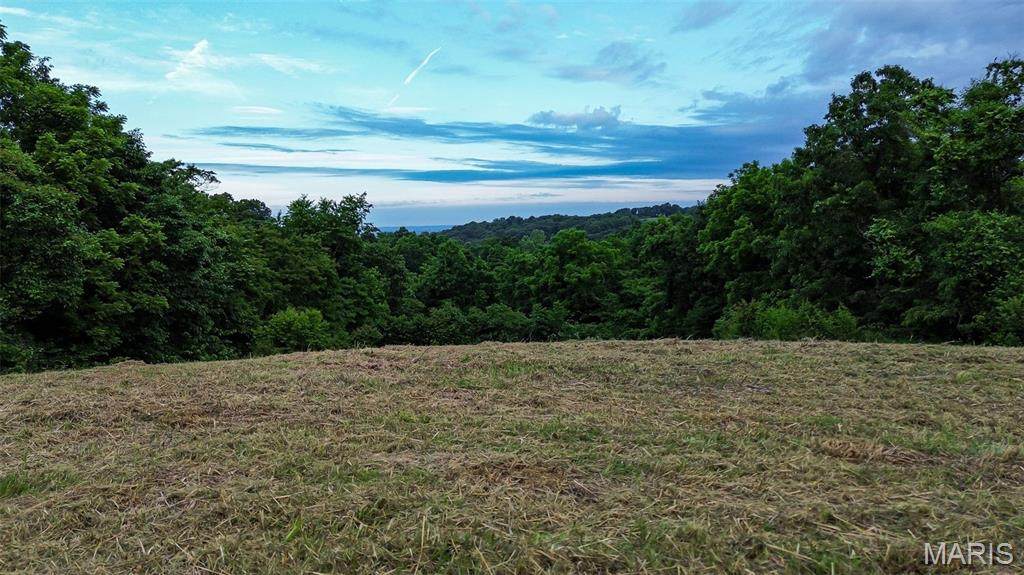 2251 Plummer Hill Road - Photo 1