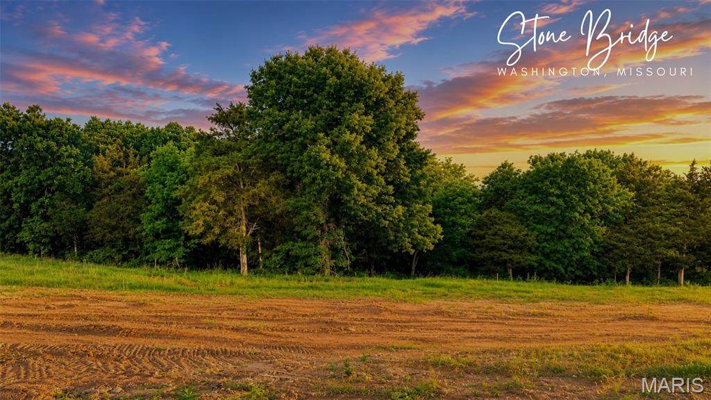 217 Fiddler's Close Road - Photo 1