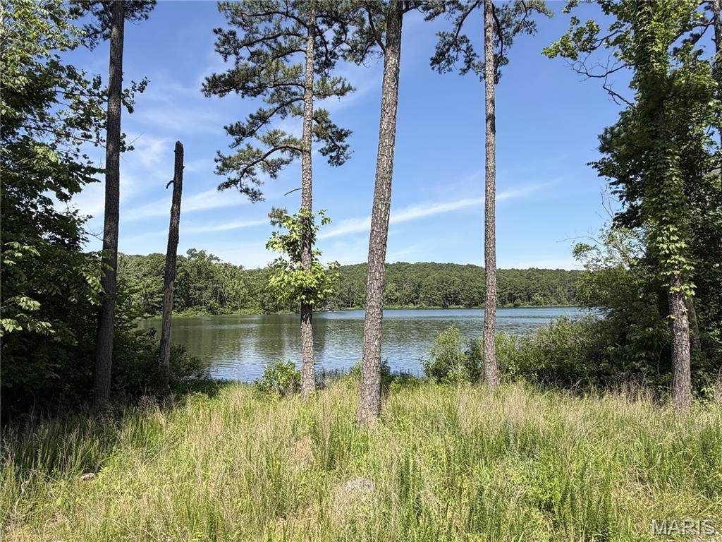 11455 Sunwood Road - Photo 1