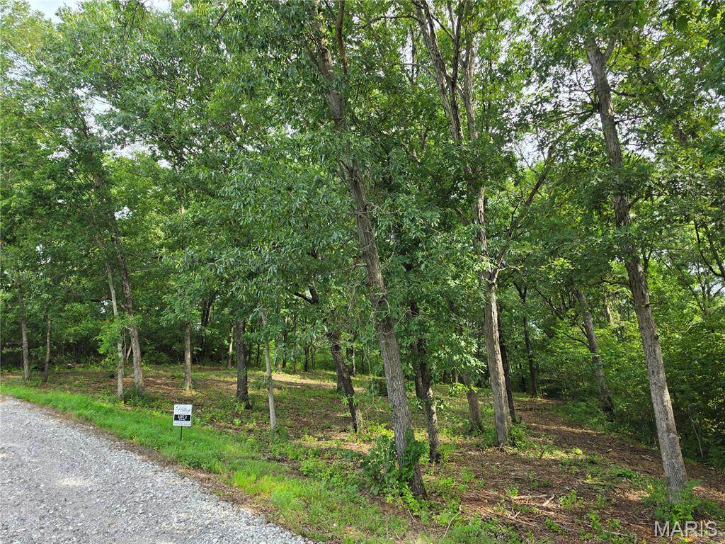 1033 Dietrich Road - Photo 1